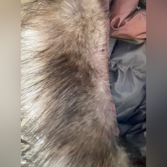 Eddie Bauer Sun Valley Down Parka Misty Rose Fur Trim Jacket Coat Puffer PinkEUC - Picture 7 of 9